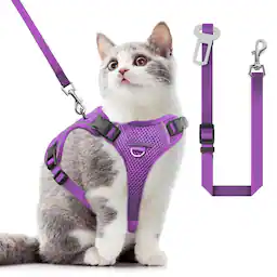 Purple-Small (7-12lb)