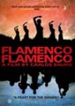 Front Standard. Flamenco, Flamenco [DVD] [2010].