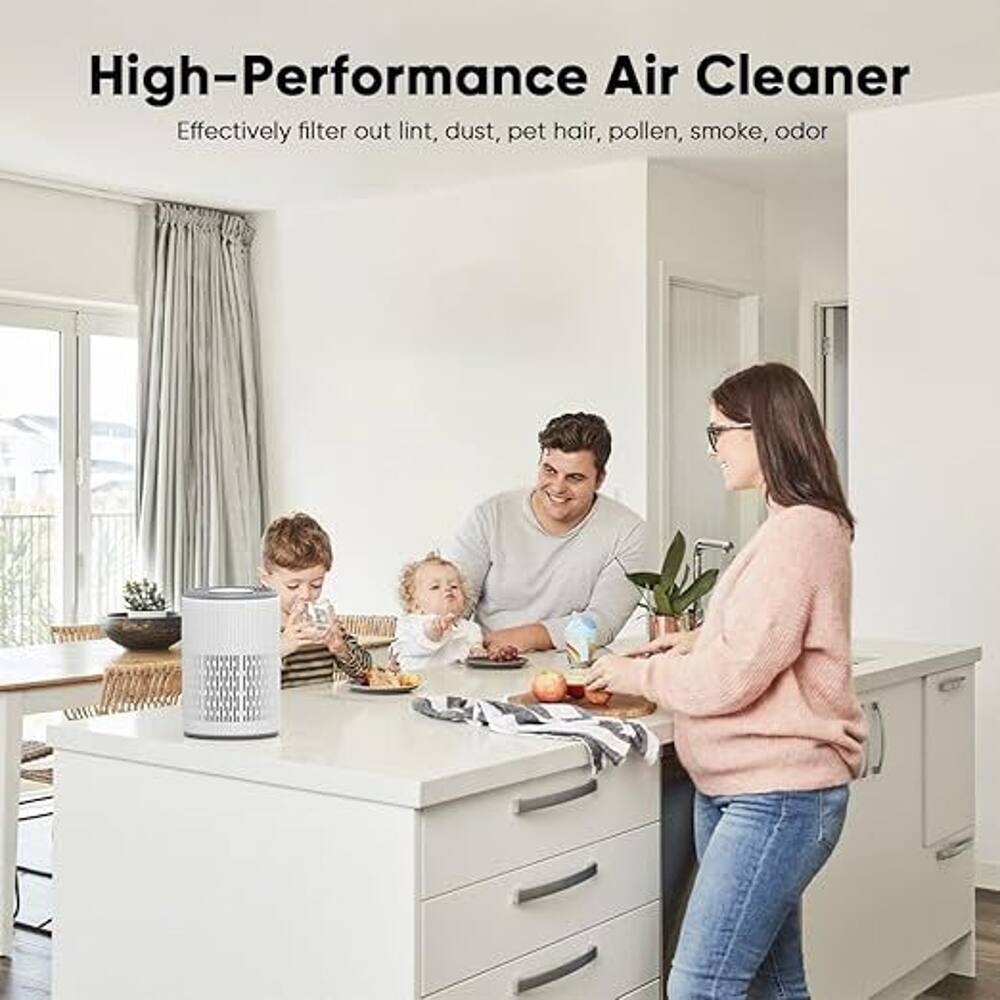 High-Performance Air Cleaner  
Effectively filter out lint, dust, pet hair, pollen, smoke, odor
