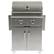 Angle. Coyote - C-Series Gas Grill - Stainless Steel.