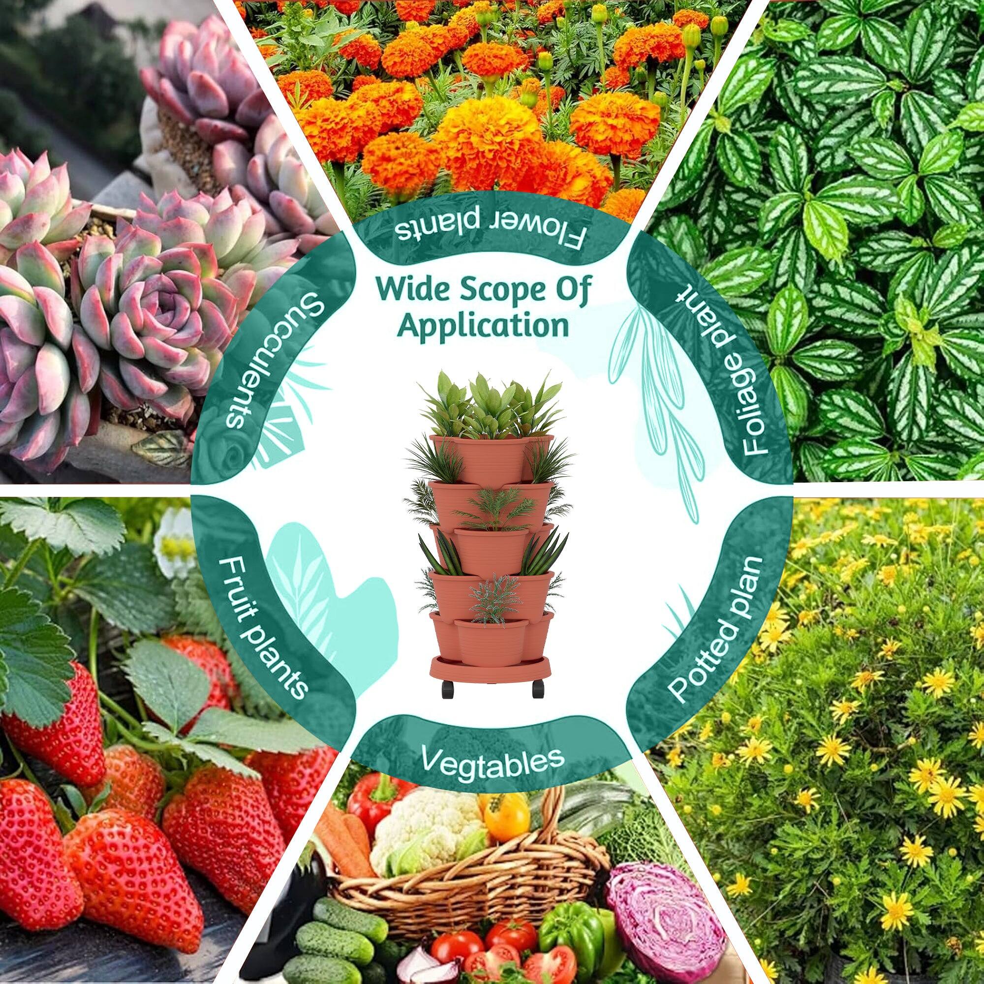 Wide Scope Of Application

- Succulents
- Foliage plants
- Fruit plants
- Vegetables
- Potted plants