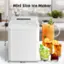 Mini Size Ice Maker in 10.6 S in 11.4 8.9 in