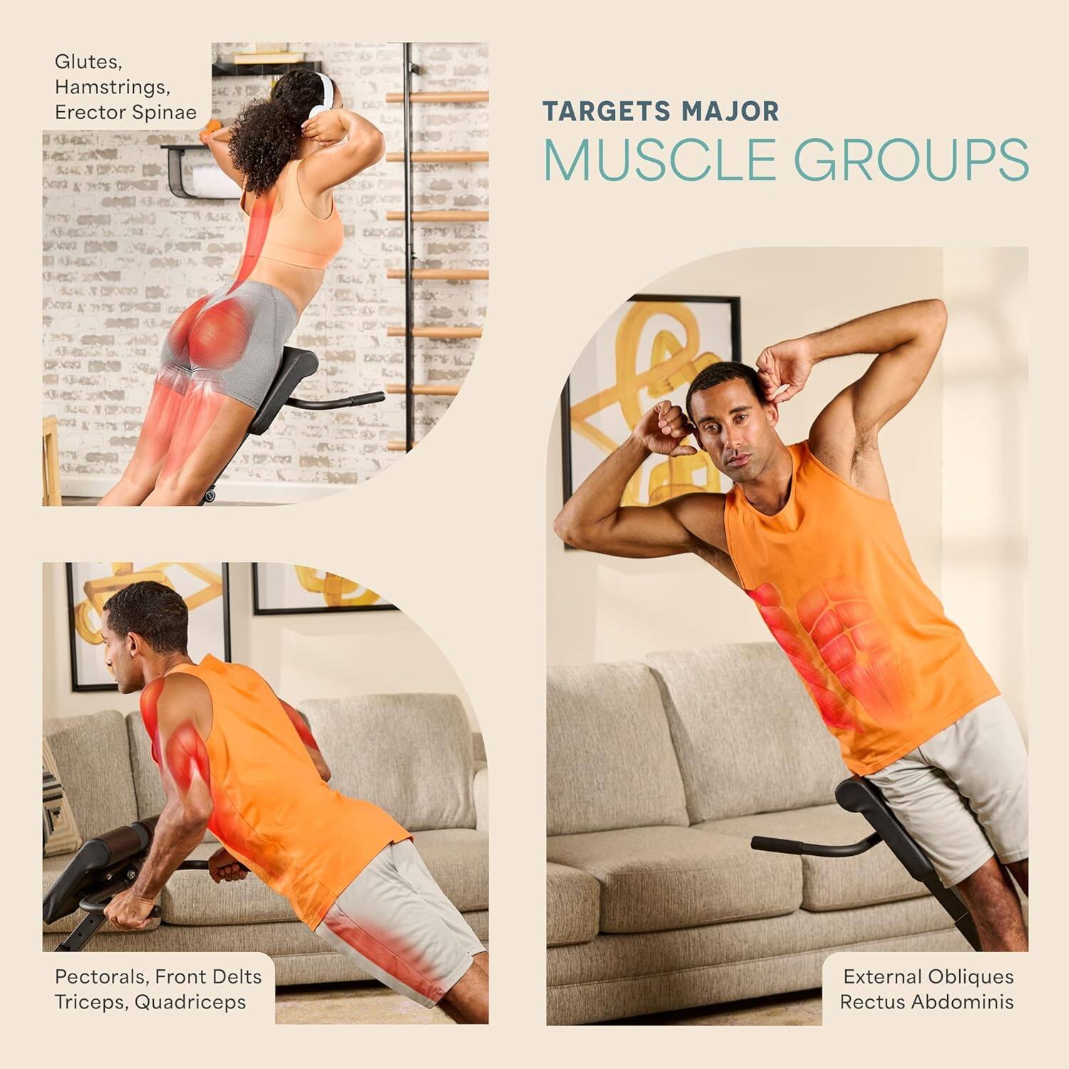 Glutes, Hamstrings, Erector Spinae

TARGETS MAJOR MUSCLE GROUPS

Pectorals, Front Delts, Triceps, Quadriceps

External Obliques, Rectus Abdominis