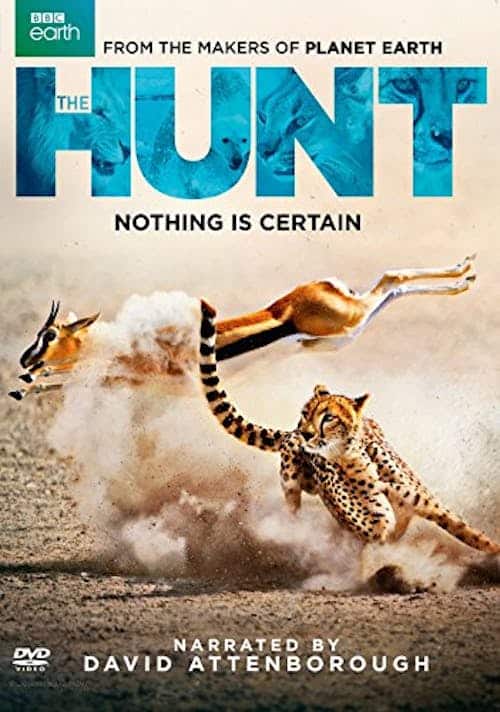 Front. The Hunt [DVD].