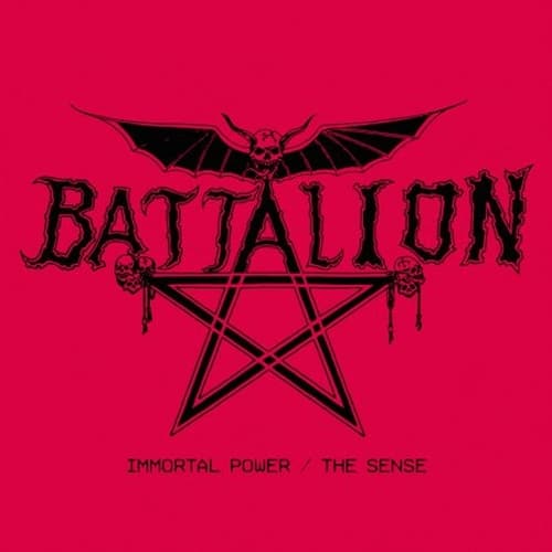 Immortal Power/The Sense [Limited 'Diehard' Red With Black Splatter Colored Vinyl With Poster] [LP] - Front_Zoom