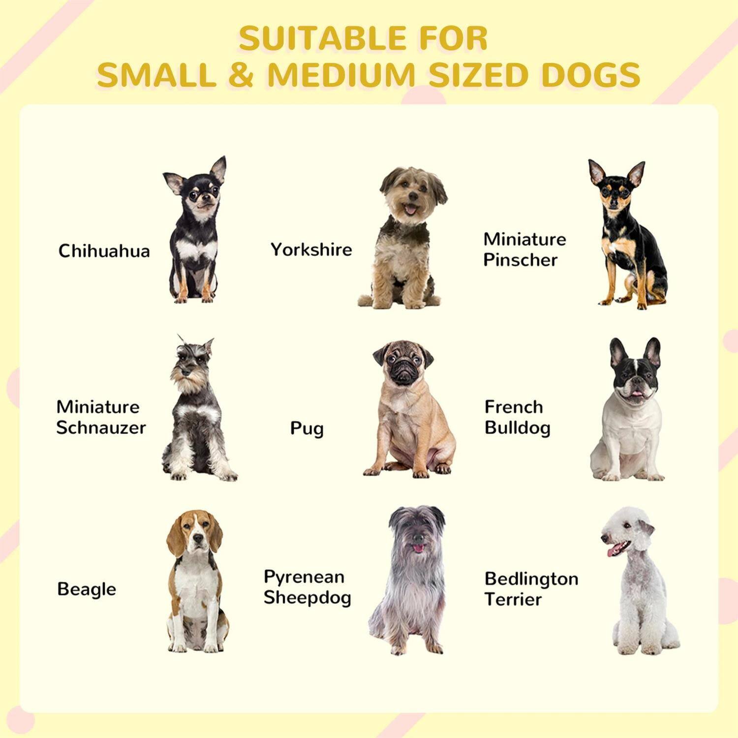 SUITABLE FOR SMALL & MEDIUM SIZED DOGS

- Chihuahua
- Yorkshire
- Miniature Pinscher
- Miniature Schnauzer
- Pug
- French Bulldog
- Beagle
- Pyrenean Sheepdog
- Bedlington Terrier