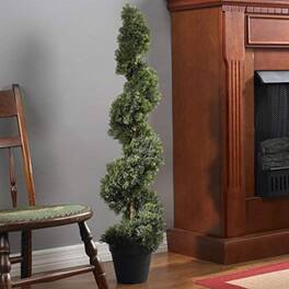 BreeBe - 6' Cedar Spiral Tree w/1808 Lvs - Green