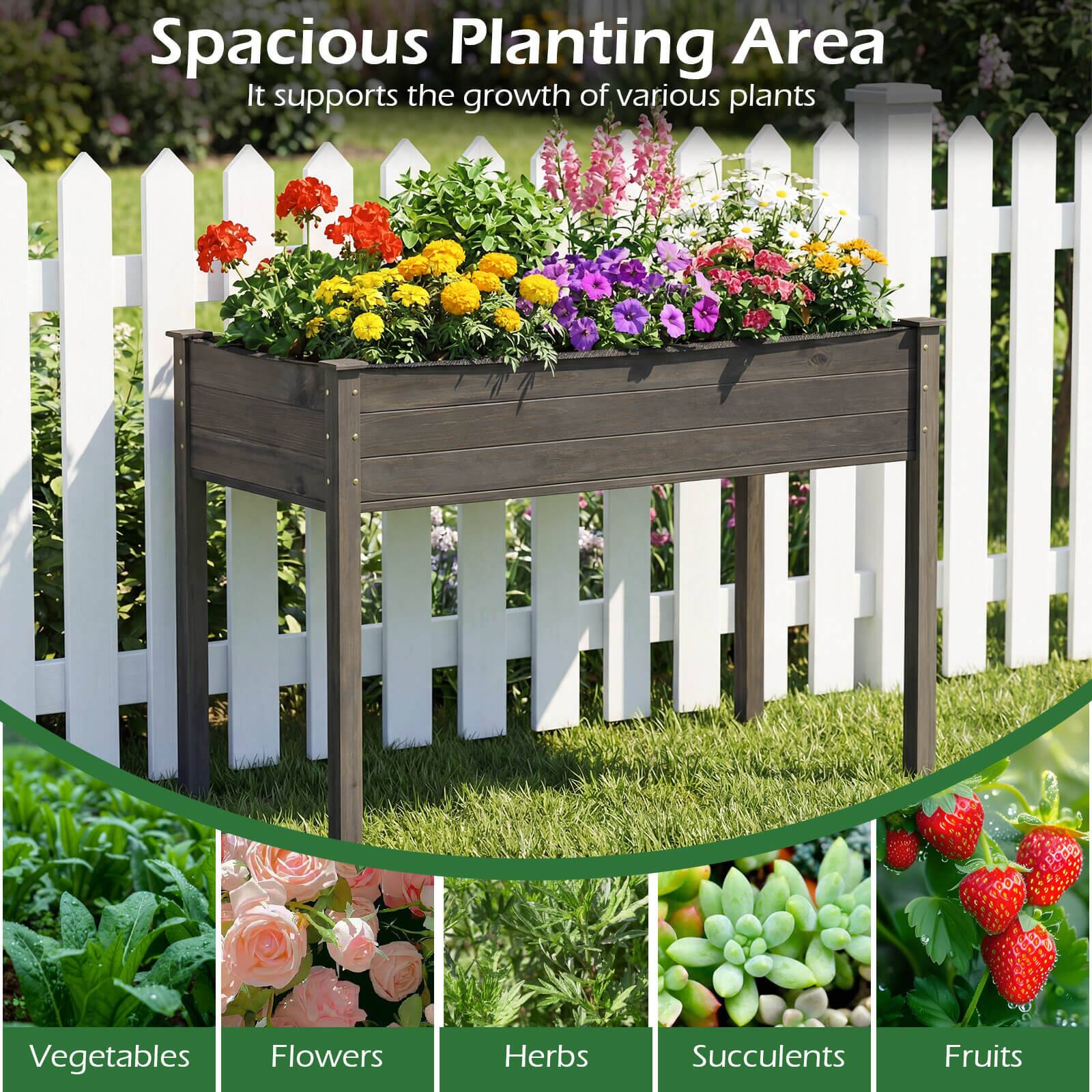 Spacious Planting Area  
It supports the growth of various plants  
Vegetables  
Flowers  
Herbs  
Succulents  
Fruits