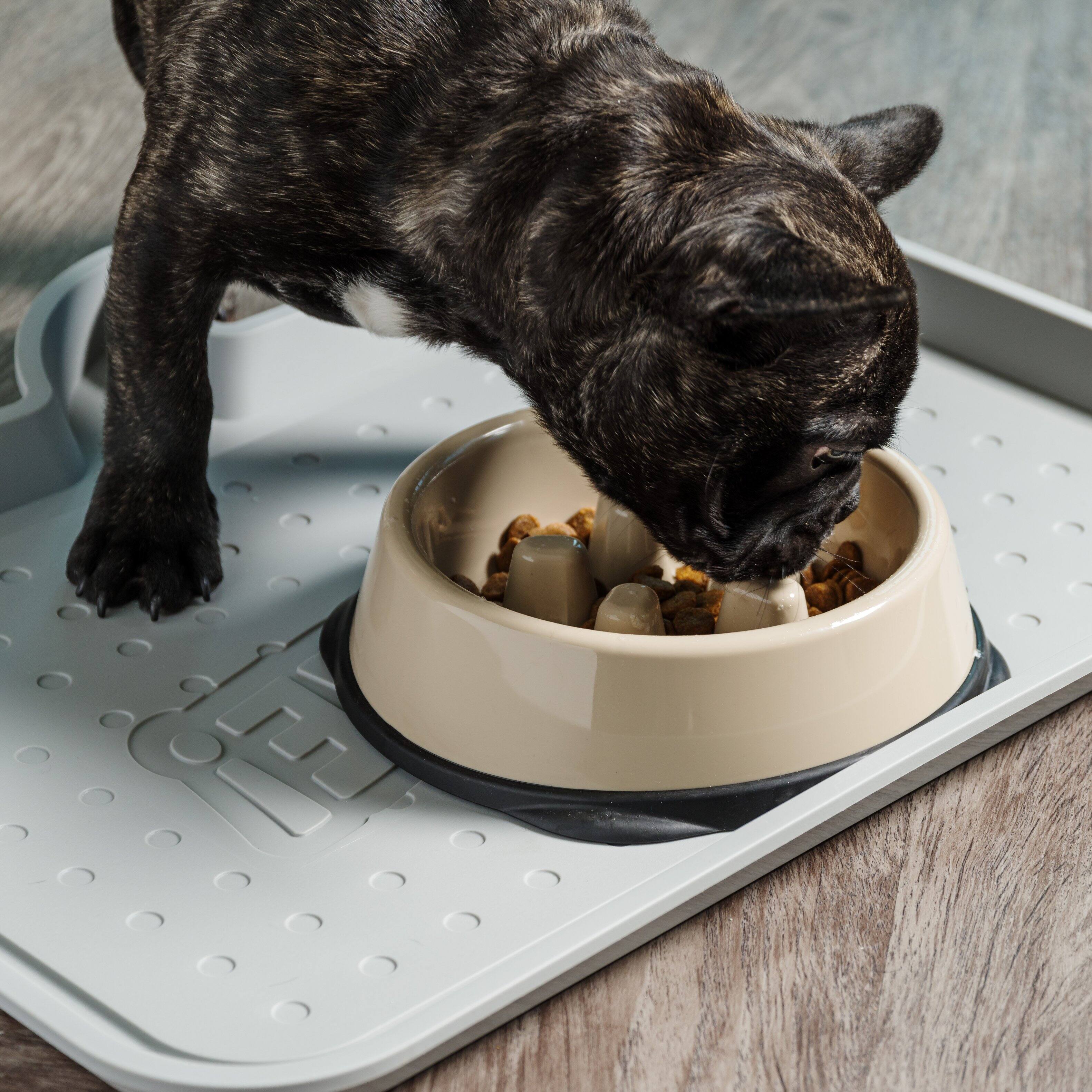 IRIS USA 2Cup/4Cup Slow Feeder Dog Bowl for Pets Tan - Best Buy