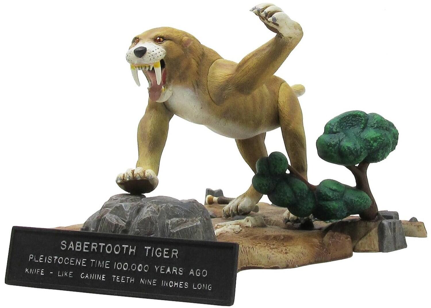 SABERTOOTH TIGER  
PLEISTOCENE TIME 100,000 YEARS AGO  
KNIFE-LIKE CANINE TEETH NINE INCHES LONG