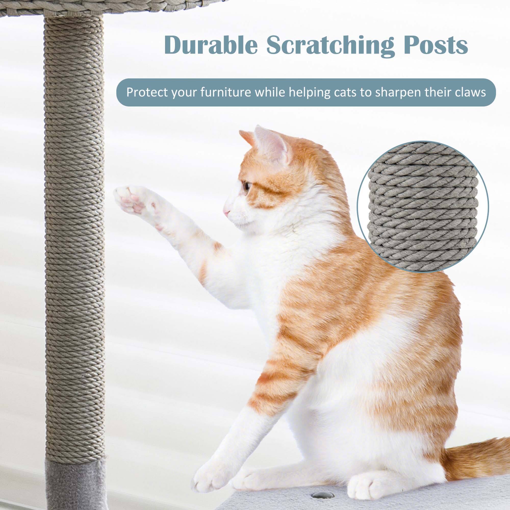 Durable Scratching Posts
Protect your furniture while helping cats to sharpen their claws