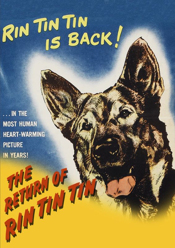 

The Return of Rin Tin Tin [DVD] [1947]