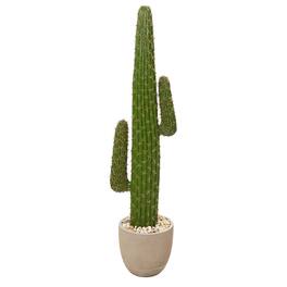 BreeBe - 56" Cactus Artificial Plant in Sandstone Planter - Green