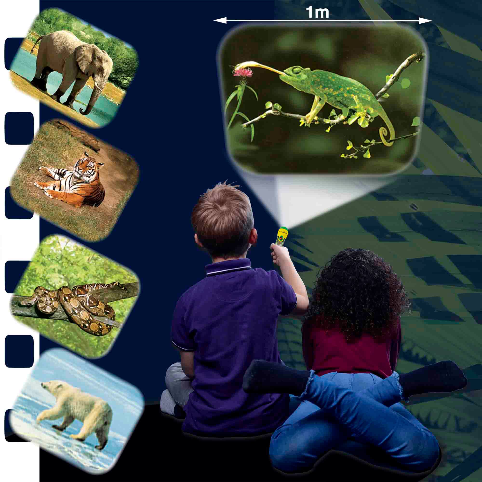 Alt View 1. Brainstorm Limited - Brainstorm Toys - Animal Torch & Projector - Ages 3+.