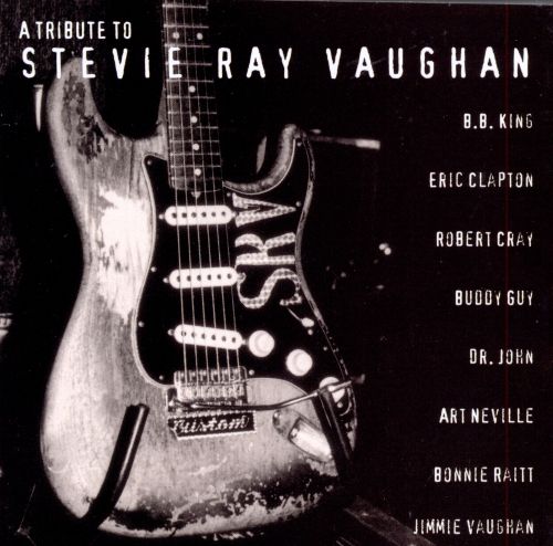  A Tribute to Stevie Ray Vaughan [CD]