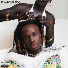 Fireboy DMI - Playboy - Picture Disc - VINYL LP
