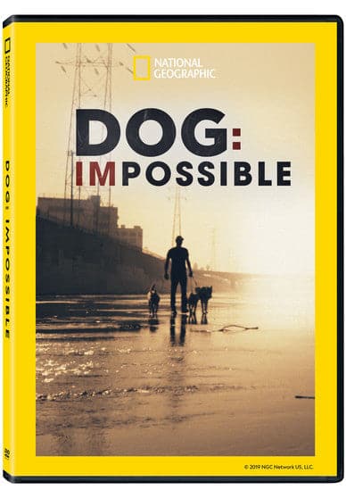 Dog: Impossible - DVD price history on PriceWatchPro