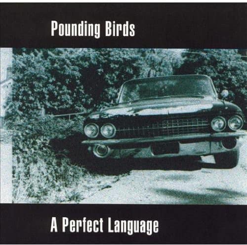 Pounding Birds - Perfect Language  - COMPACT DISCS