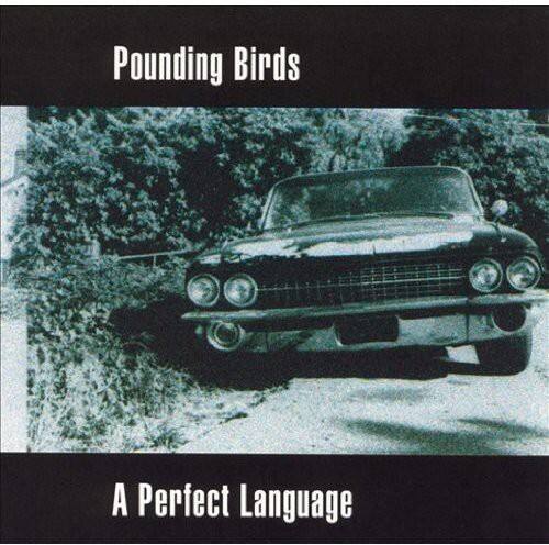 Pounding Birds  
A Perfect Language
