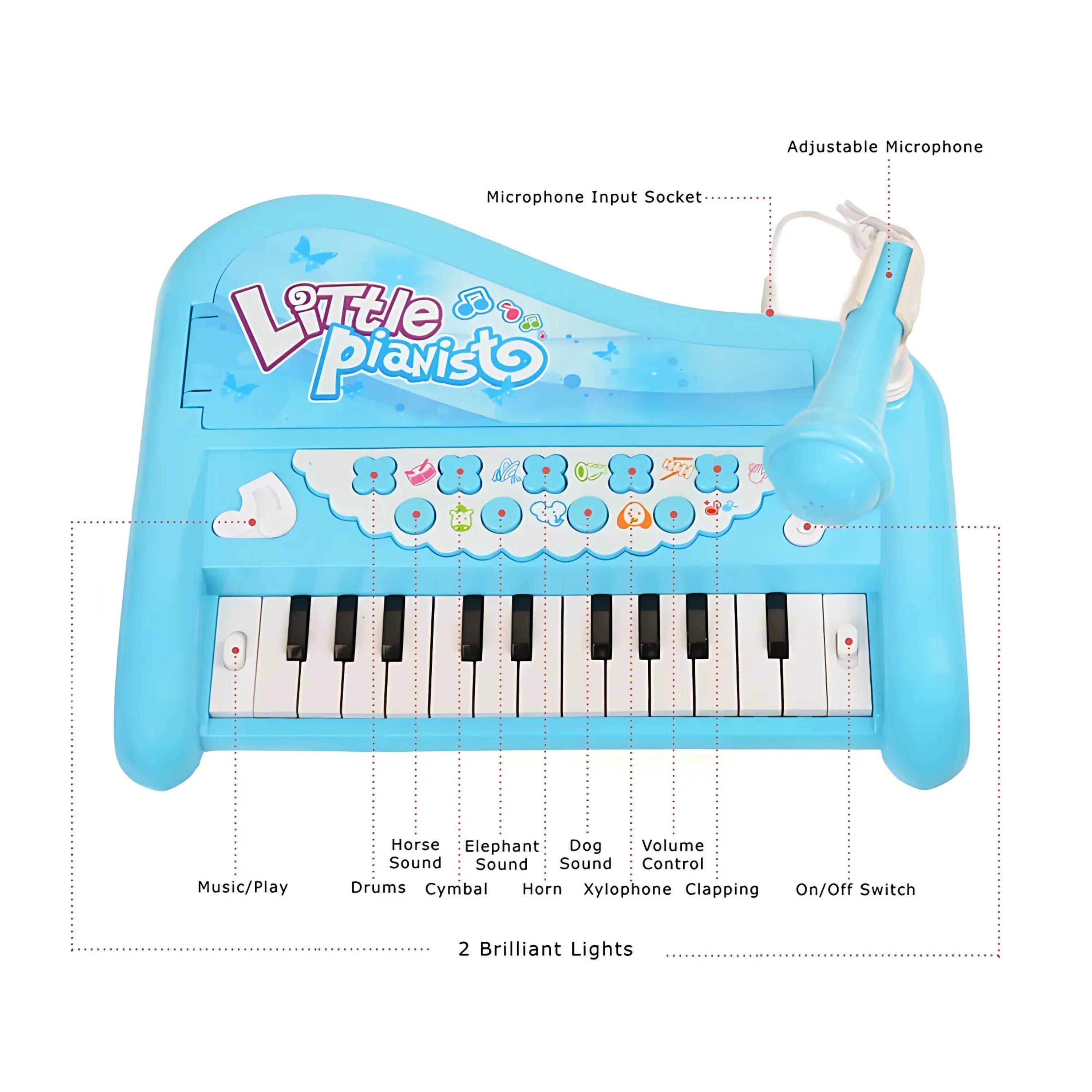 - Adjustable Microphone
- Microphone Input Socket
- Music/Play
- Horse Sound
- Elephant Sound
- Dog Sound
- Volume Control
- Drums
- Cymbal
- Horn
- Xylophone
- Clapping
- On/Off Switch
- 2 Brilliant Lights