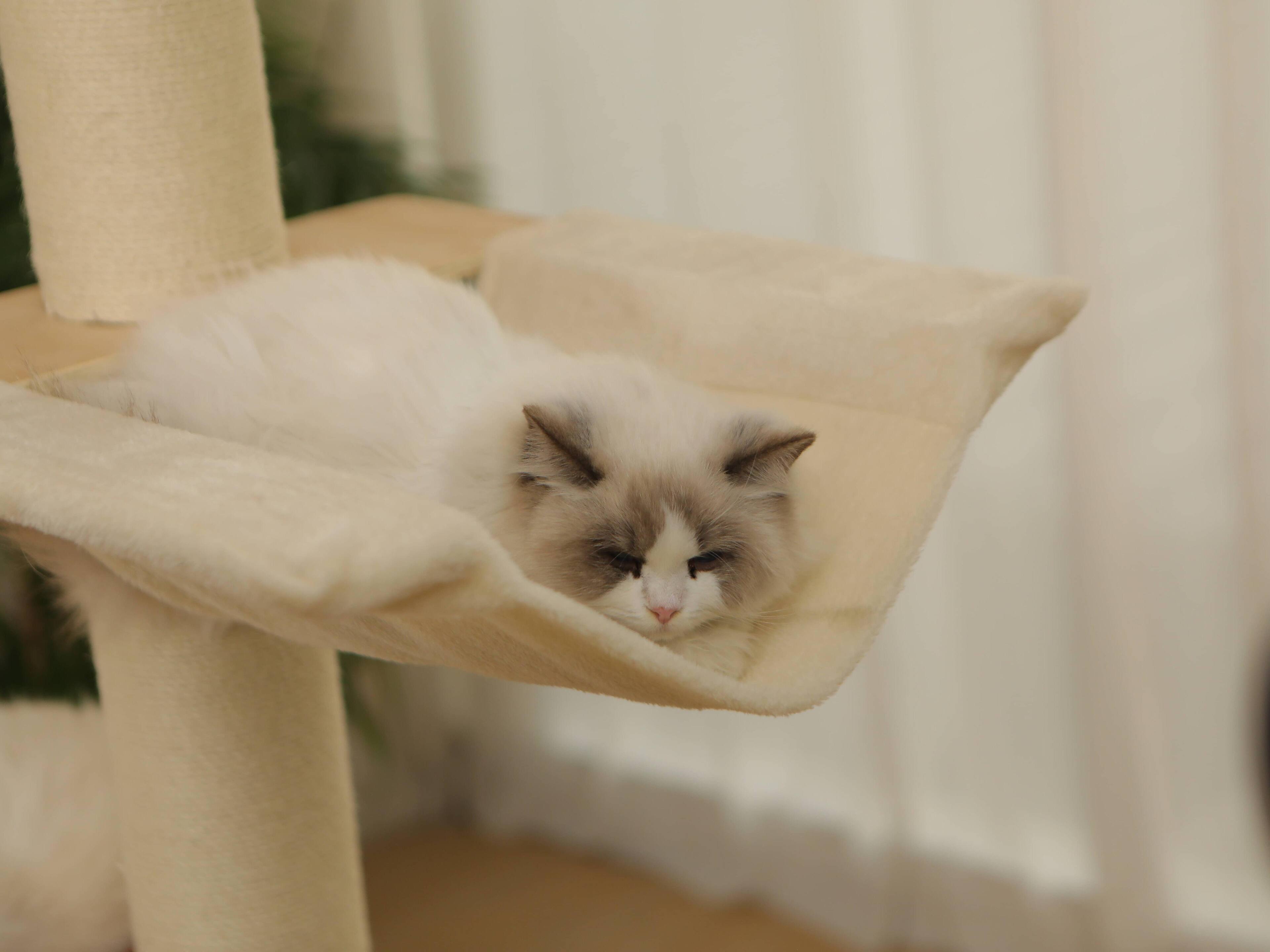 Alt View 3. JUJABU - 5-Tier Adjustable Cat Tree Tower – Hemp Scratching Post, Perches, Sturdy Indoor/Outdoor Activity Center.