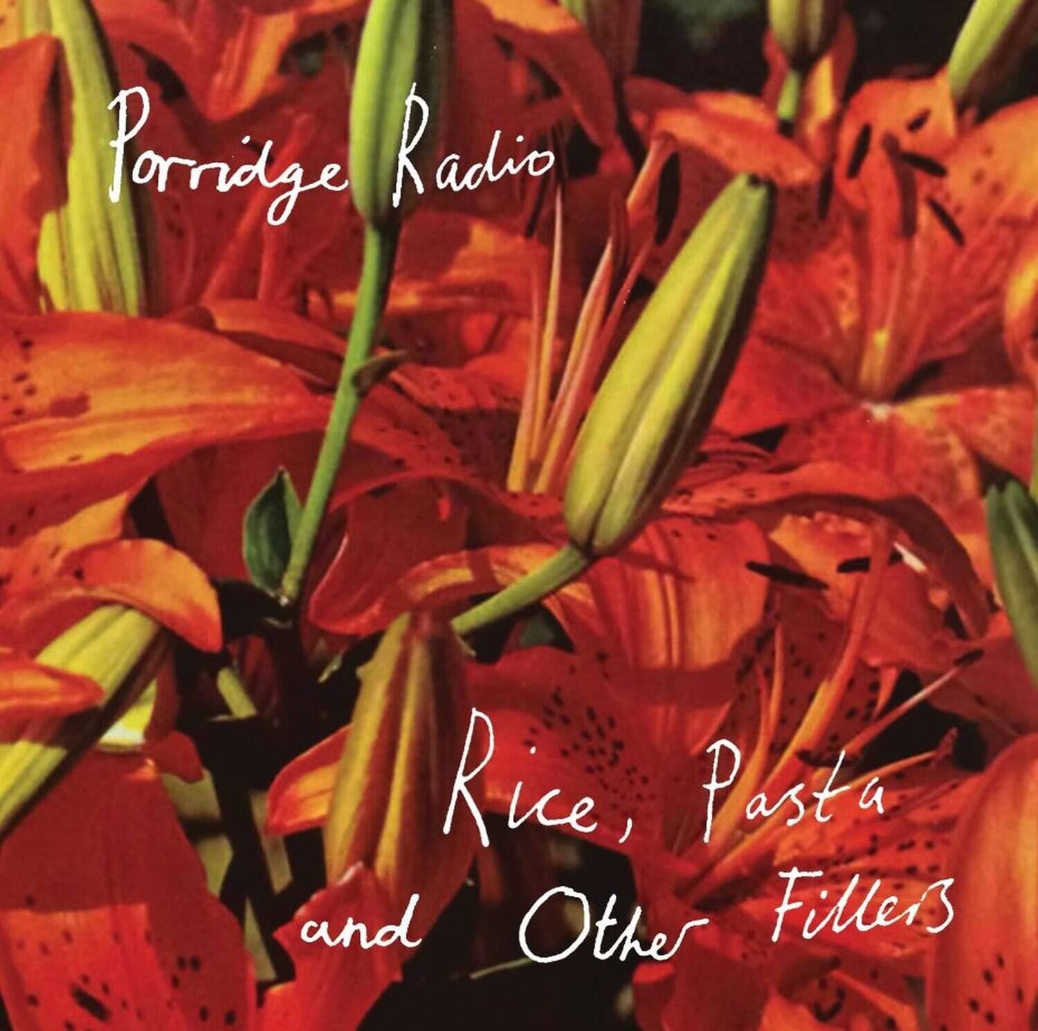Porridge Radio  
Rice, Pasta and Other Fillers