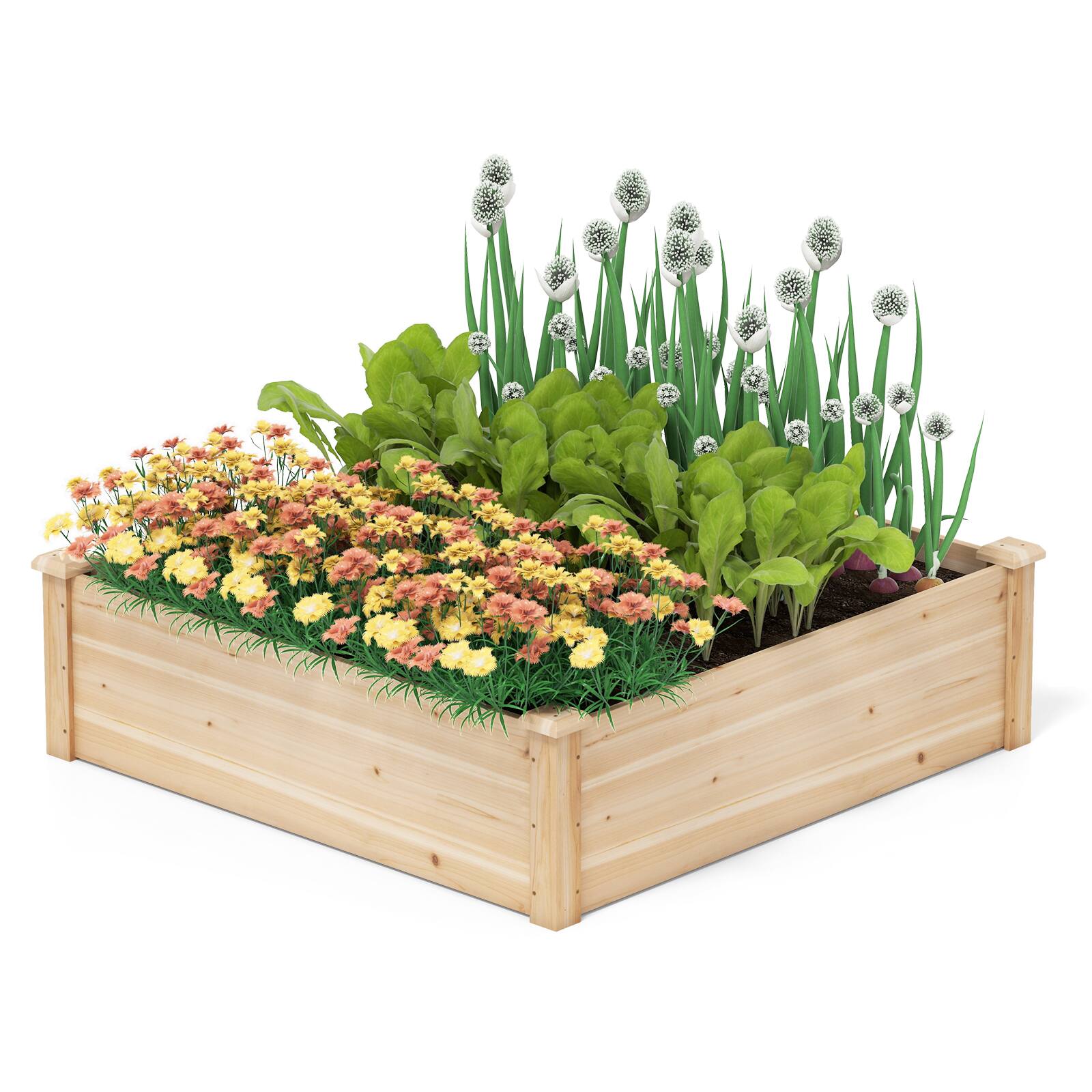 Ecooso - 40 x 40 in Outdoor Wooden Raised Garden Bed
