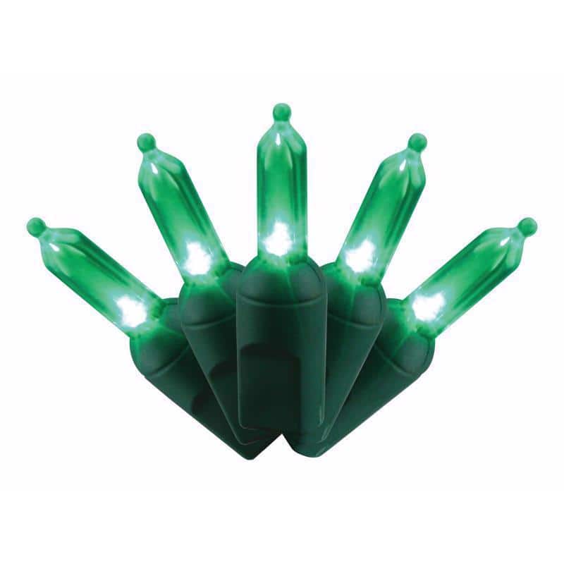 Celebrations - Platinum LED T5 50 ct String Christmas Lights 25 ft - Green