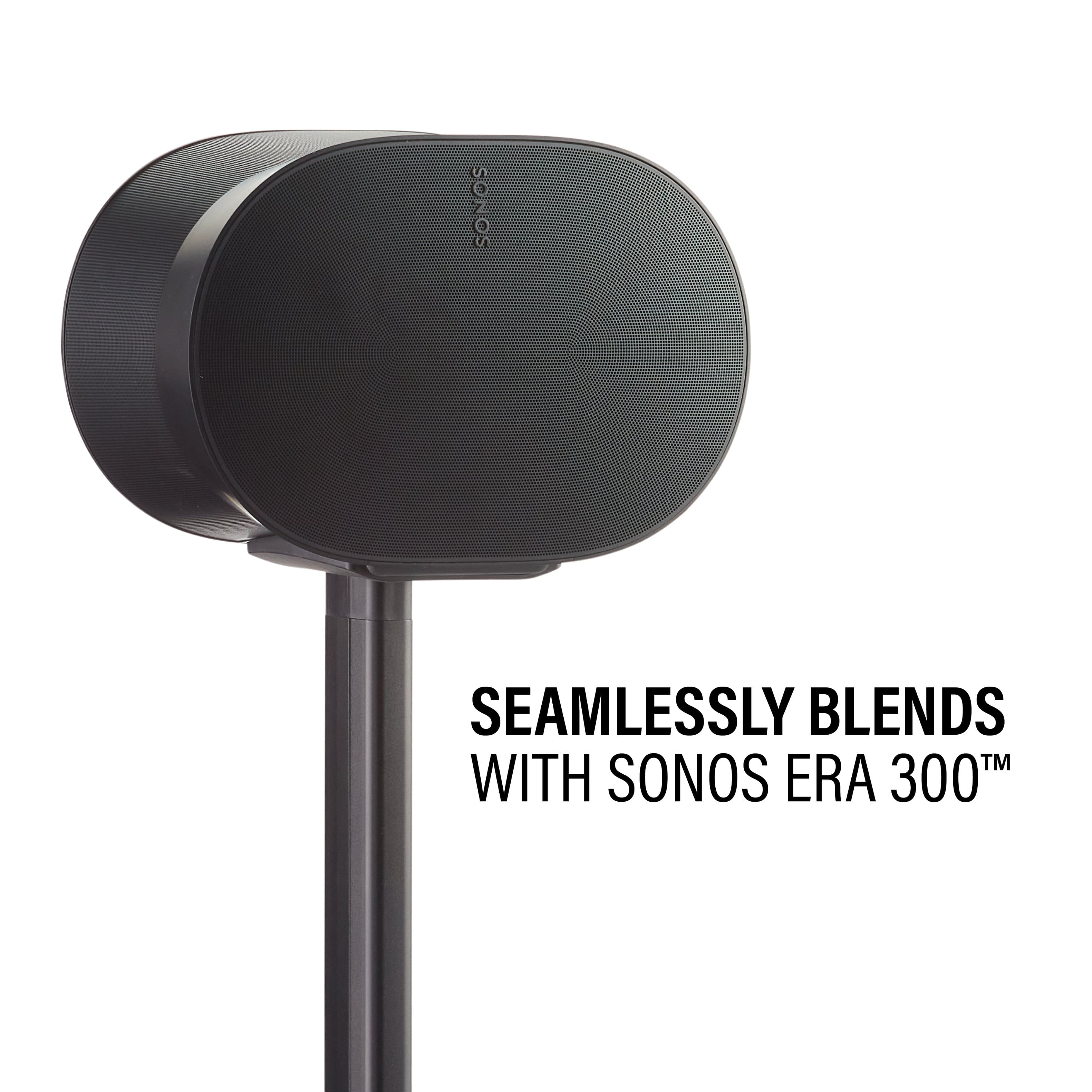 "Seamlessly Blends TM with Sonos Era 300 TM"