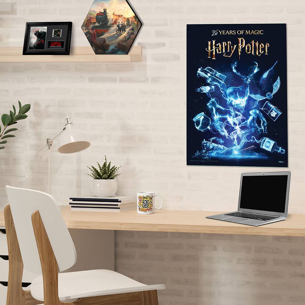 25 YEARS OF MAGIC  
Harry Potter 30