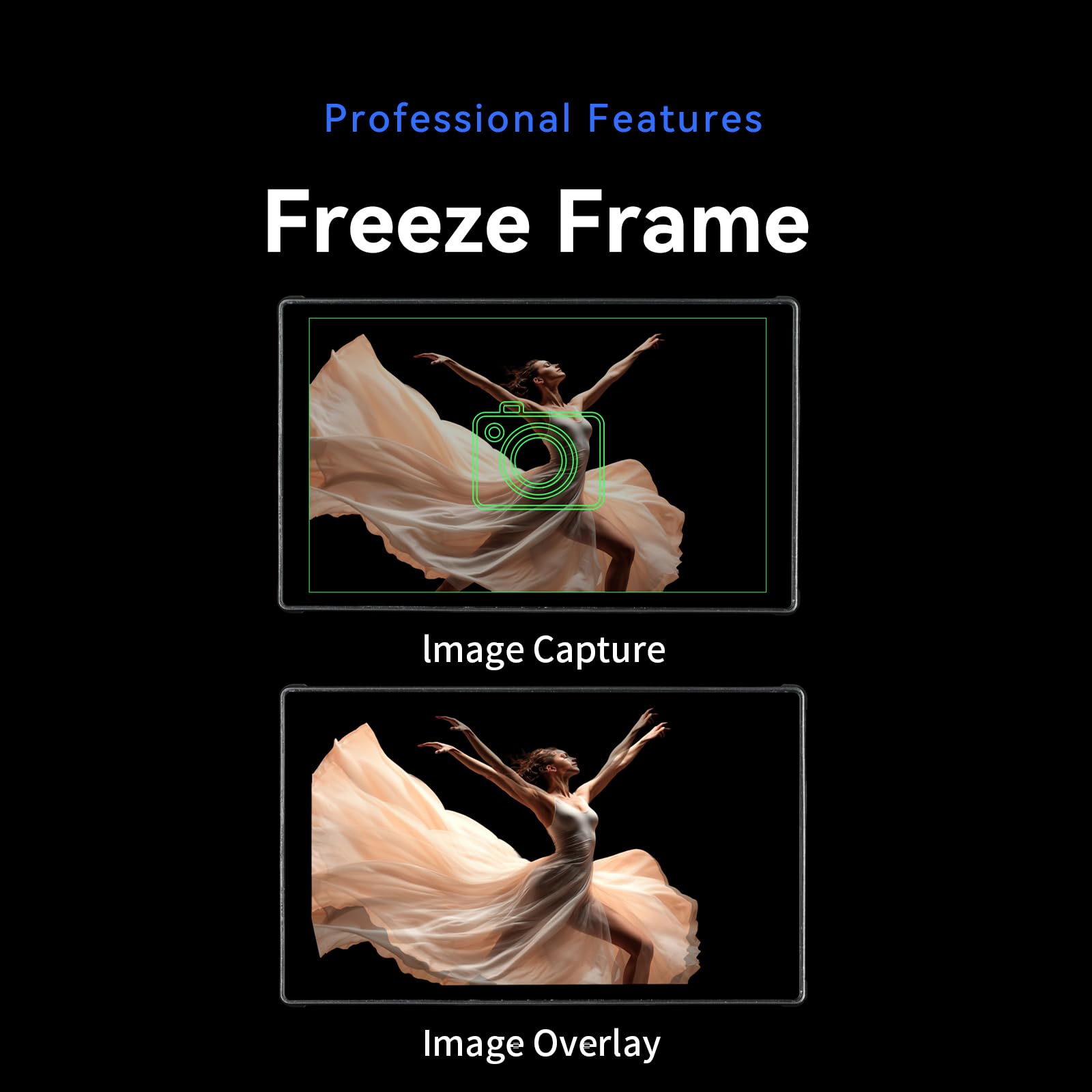 Professional Features  
Freeze Frame  
Image Capture  
Image Overlay