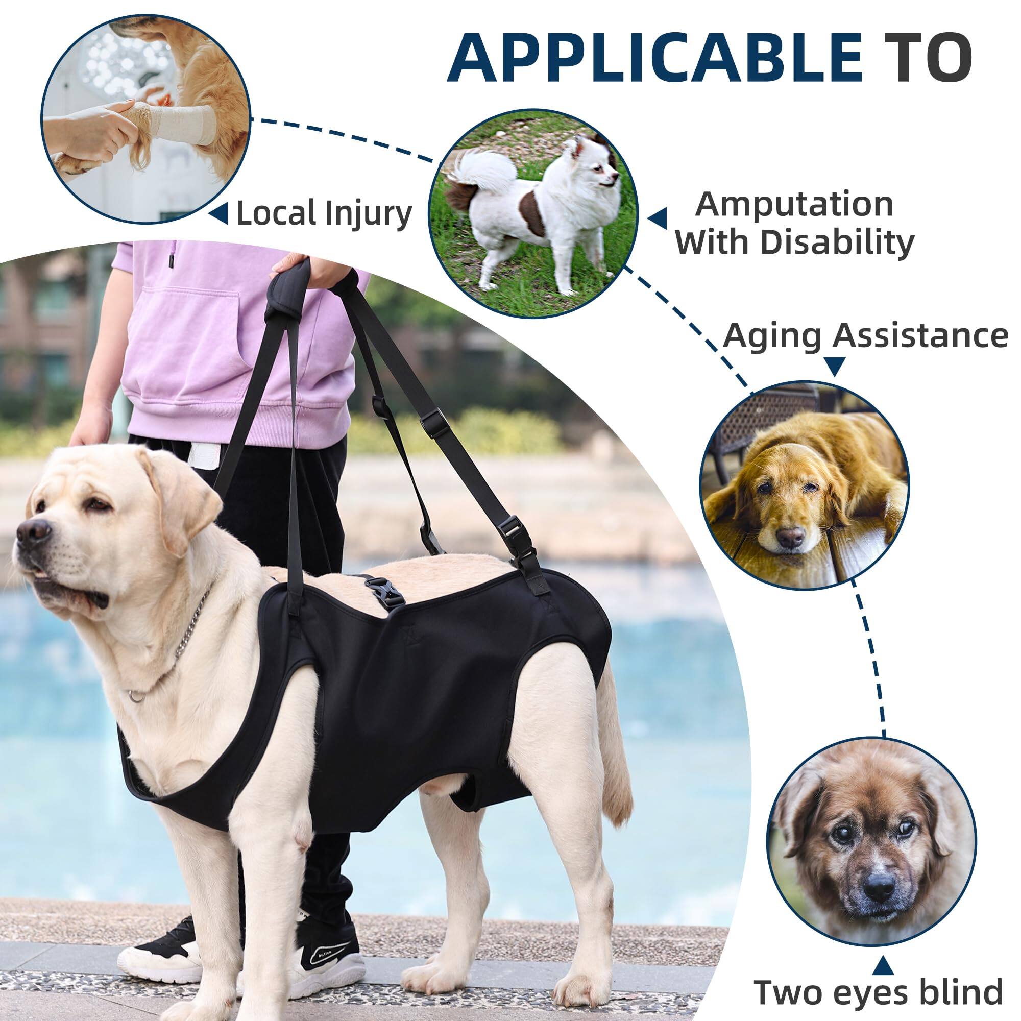 APPLICABLE TO

- Local Injury
- Amputation With Disability
- Aging Assistance
- Two eyes blind
