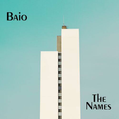 

The Names [LP] - VINYL