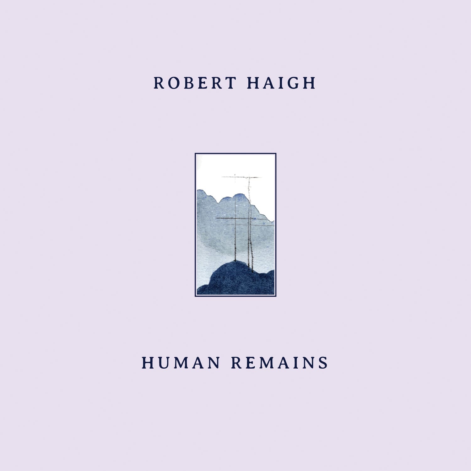 Robert Haigh - Human Remains   - COMPACT DISCS [CD] price history on PriceWatchPro