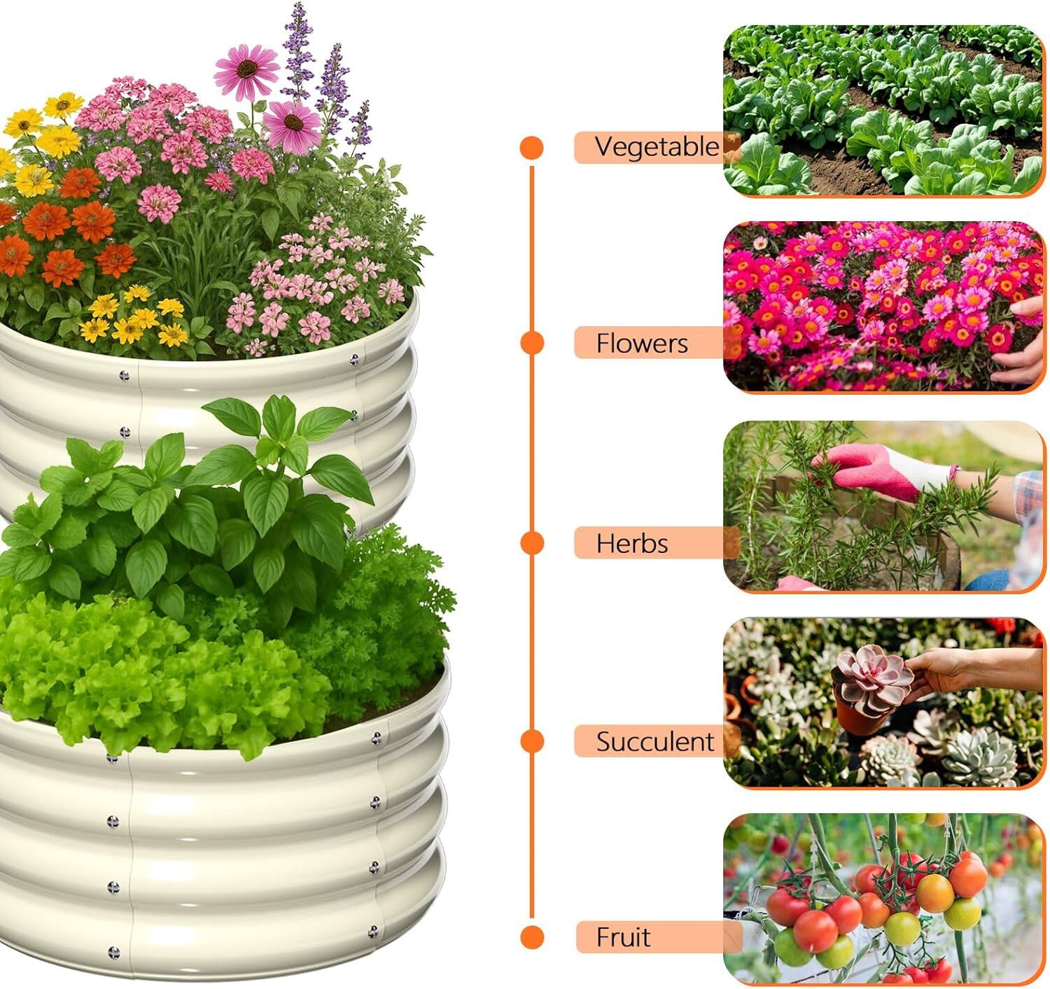 Vegetable  
Flowers  
Herbs  
Succulent  
Fruit