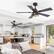Front. Breezary - 42-In Indoor Ceiling Fan with Light Kit, 5 Plywood Blades, 6-Speed DC Motor and Remote, Timer, Memory Function(1/2 Pack) - Matte Black (2 Pack).