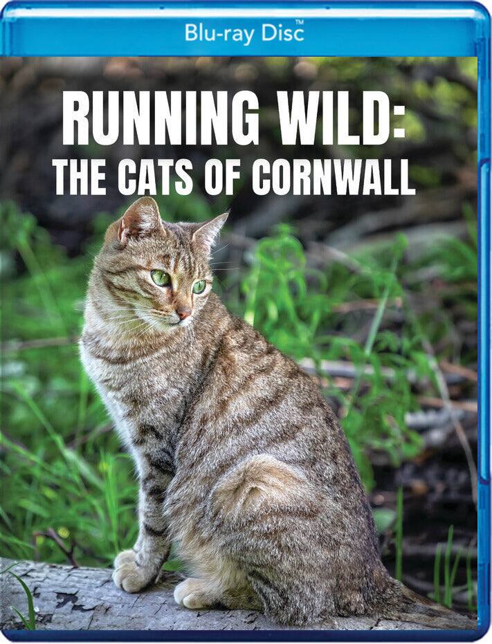Front. Running Wild: The Cats of Cornwall (MOD) (BluRay Movie).