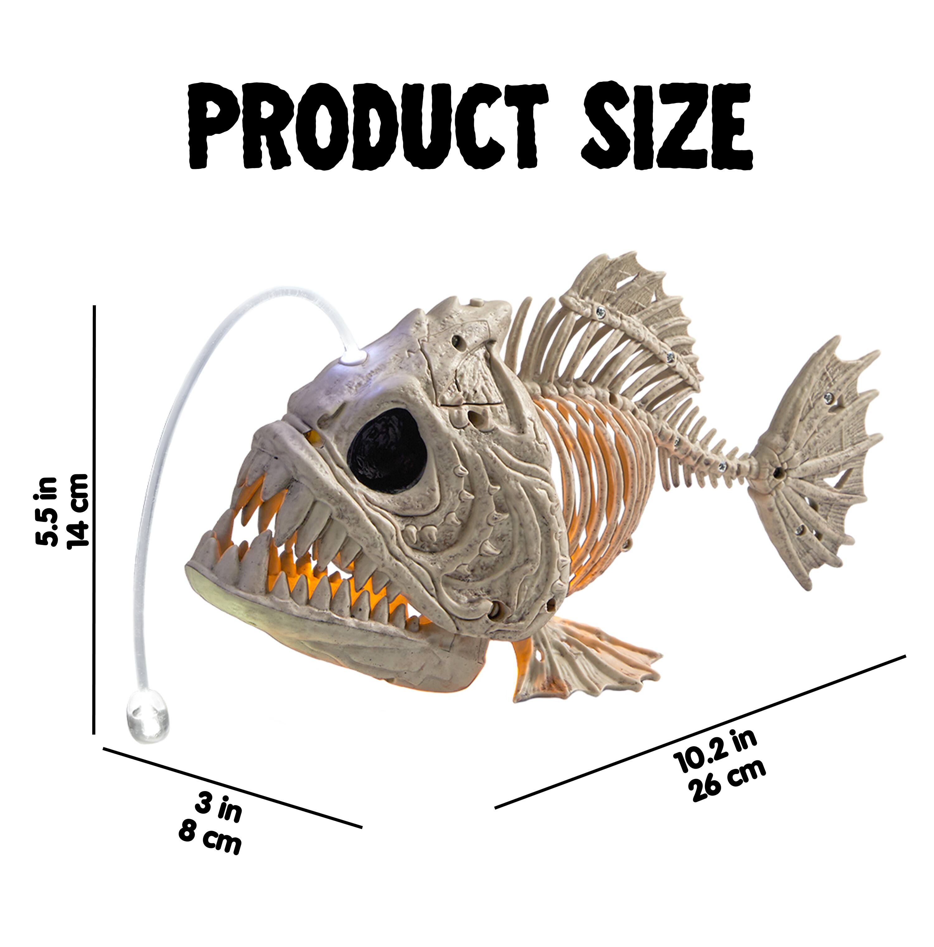 PRODUCT SIZE

5.5 in 14 cm

3 in 8 cm

10.2 in 26 cm