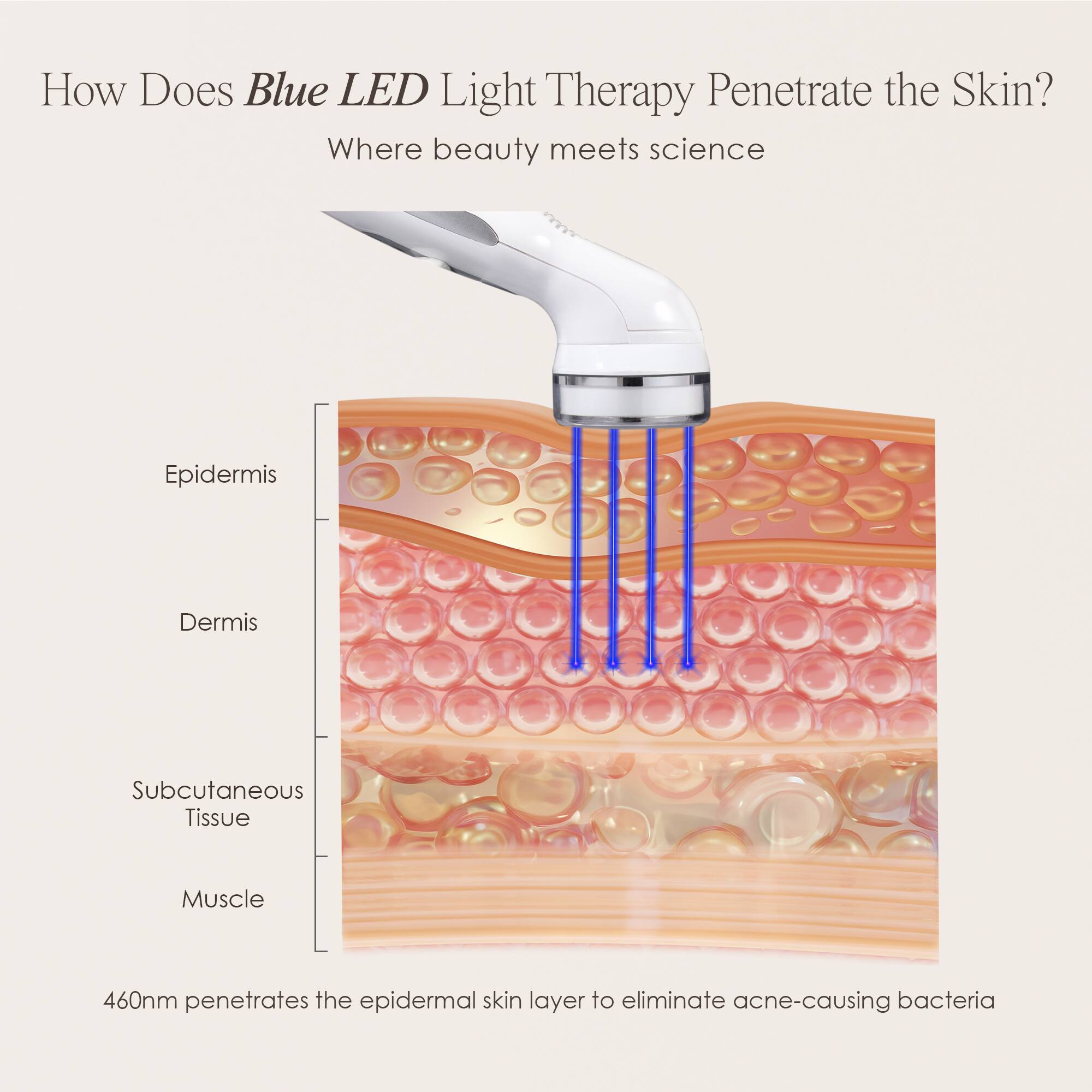 How Does Blue LED Light Therapy Penetrate the Skin?  
Where beauty meets science

Epidermis  
Dermis  
Subcutaneous Tissue  
Muscle  

460nm penetrates the epidermal skin layer to eliminate acne-causing bacteria