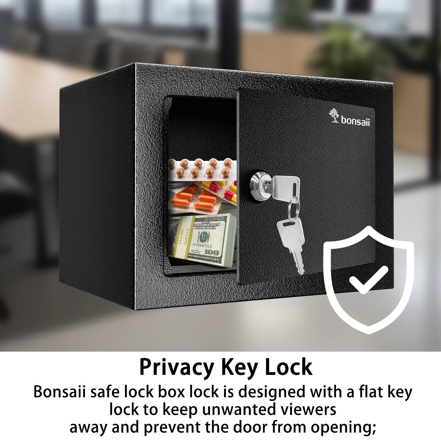 bonsaii RIUT A2. $10,000 $10,000 FFNN71 100 RASTS DILLIEE

Privacy Key Lock

Bonsaii safe lock box lock is designed with a flat key lock to keep unwanted viewers away and prevent the door from opening;