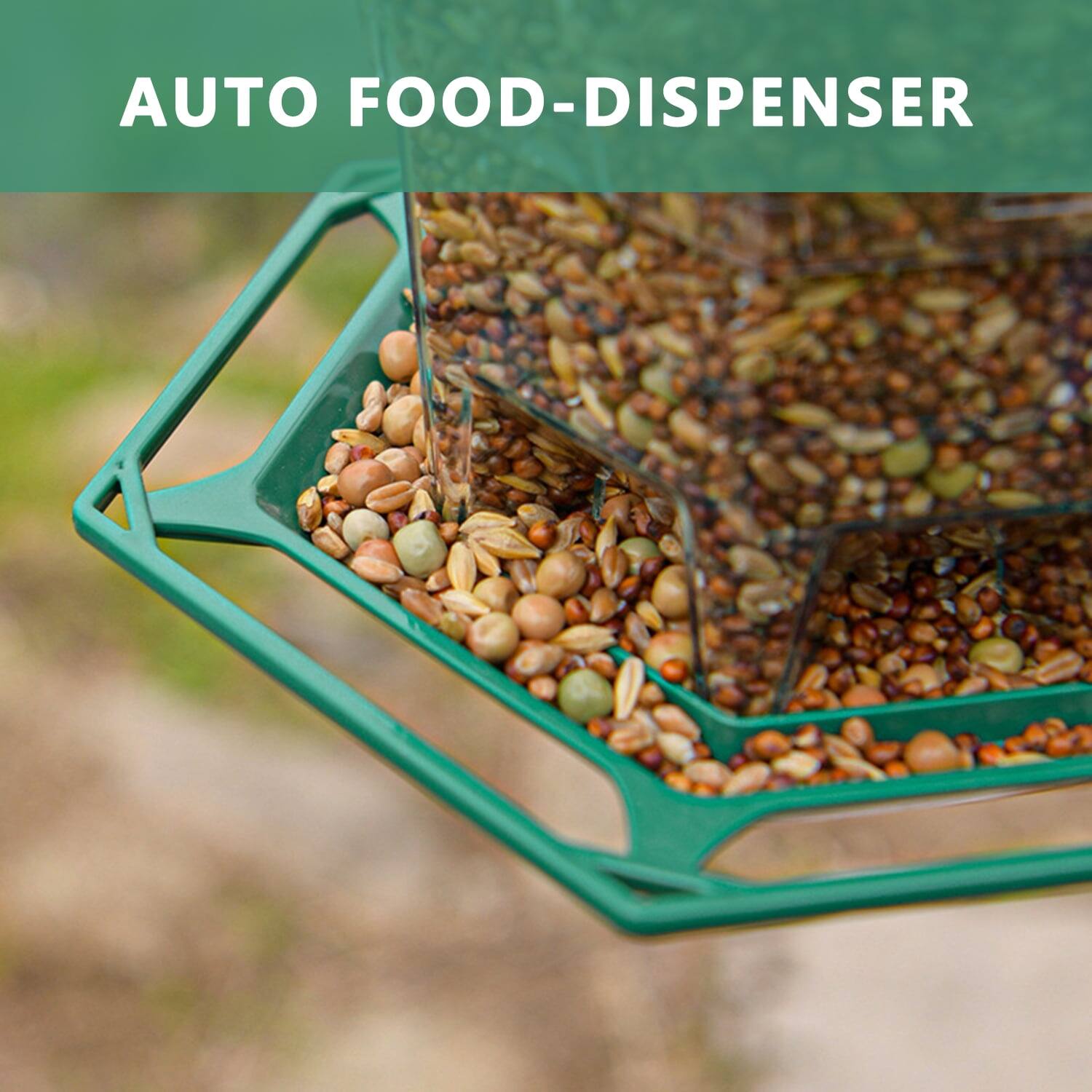 AUTO FOOD-DISPENSER