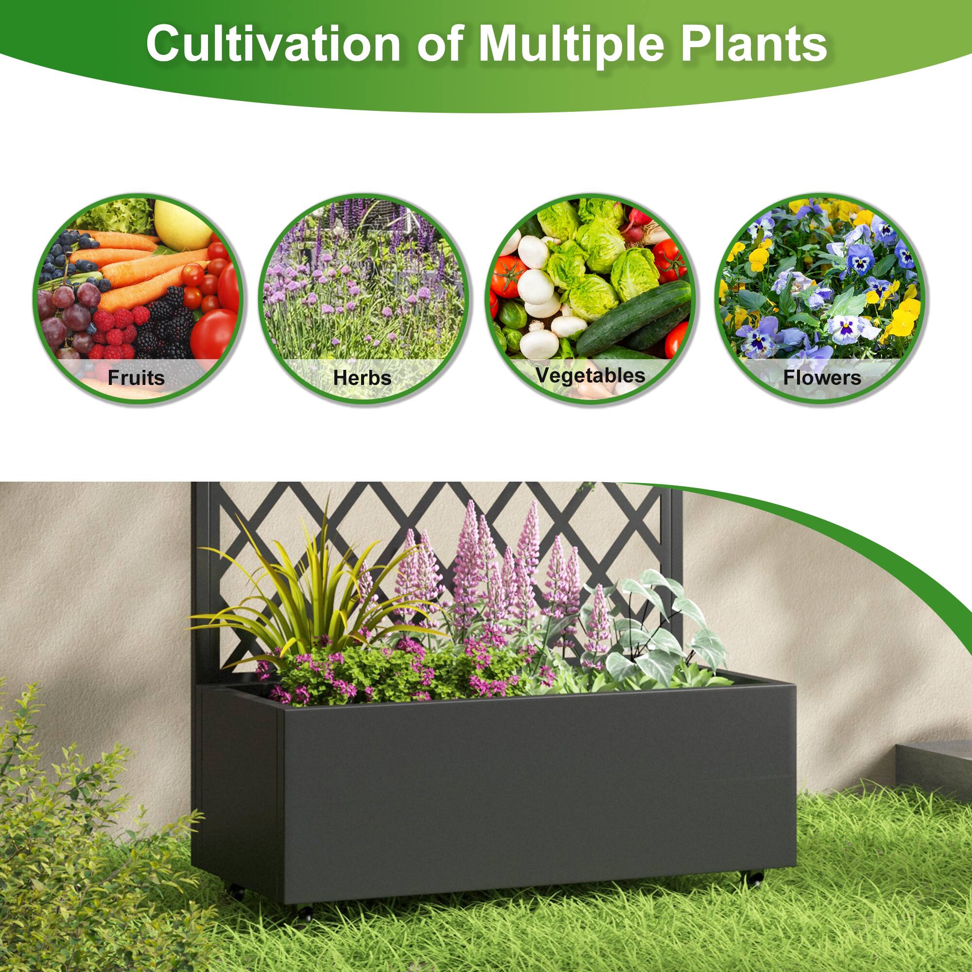 Cultivation of Multiple Plants

- Fruits
- Herbs
- Vegetables
- Flowers