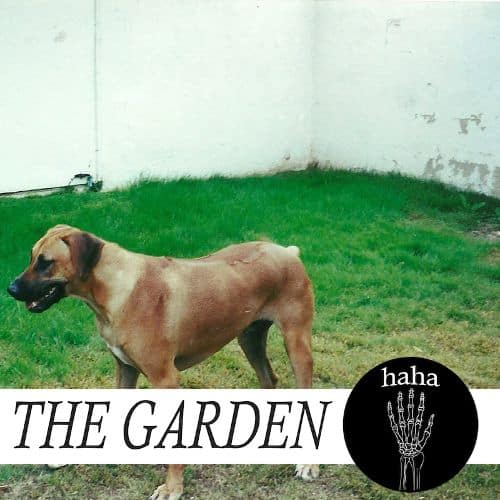 

Haha [LP] - VINYL