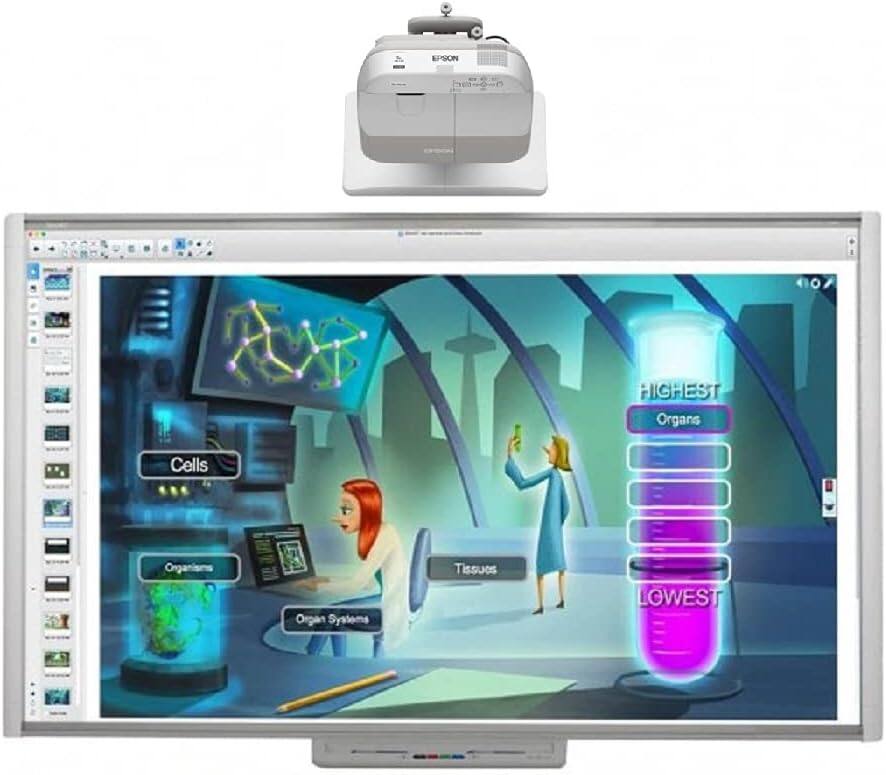 Cells  
Tissues  
Organ Systems  
Organisms  
Organs  

LOWEST  
HIGHEST