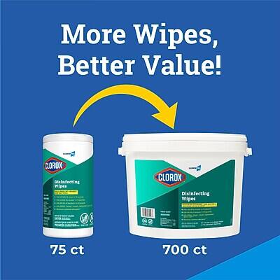 More Wipes, Better Value!

CLOROX Disinfecting Wipes

75 ct

700 ct
