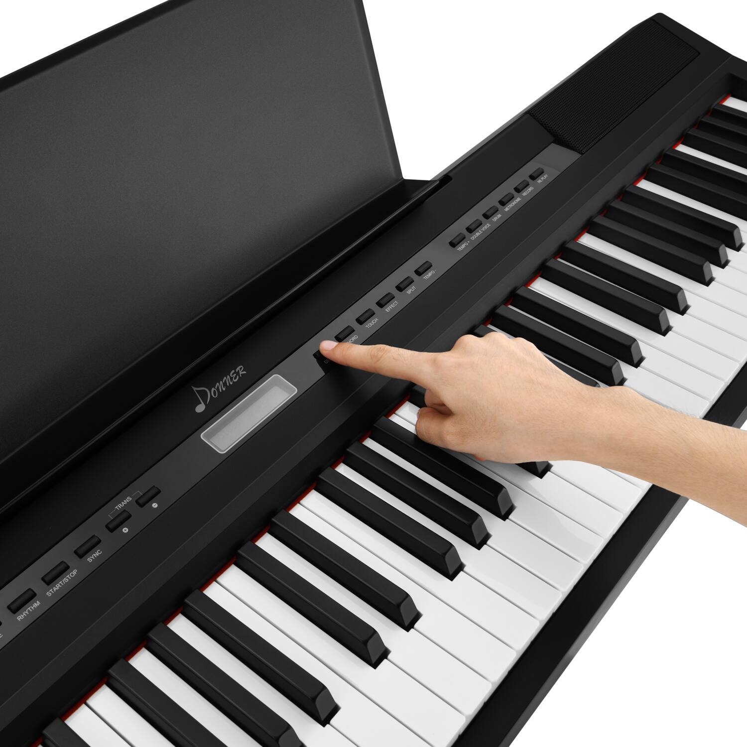 The text in the image is "Domino."