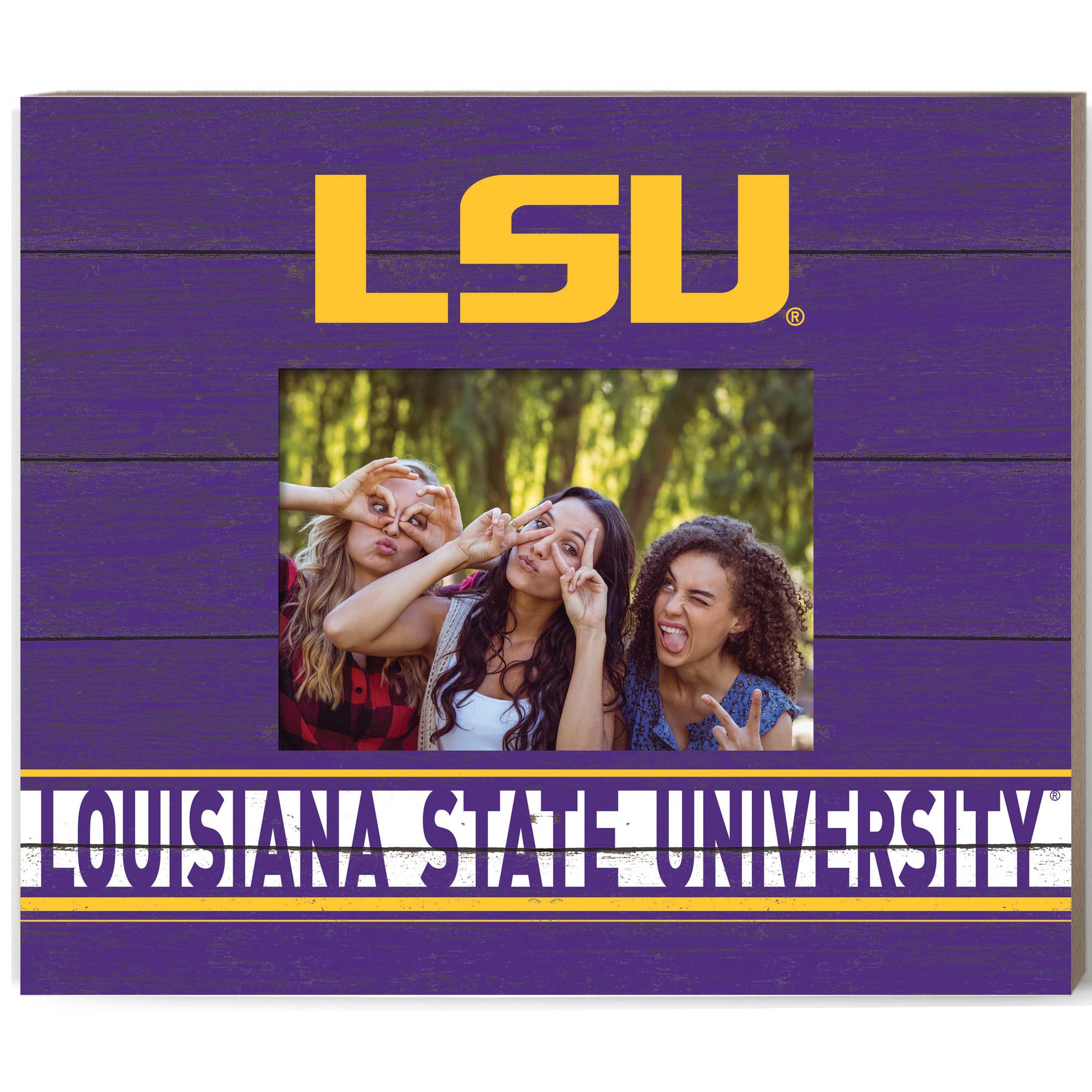 Jardine - LSU Tigers 11'' x 13'' Team Spirit Picture Frame - Purple price history on PriceWatchPro