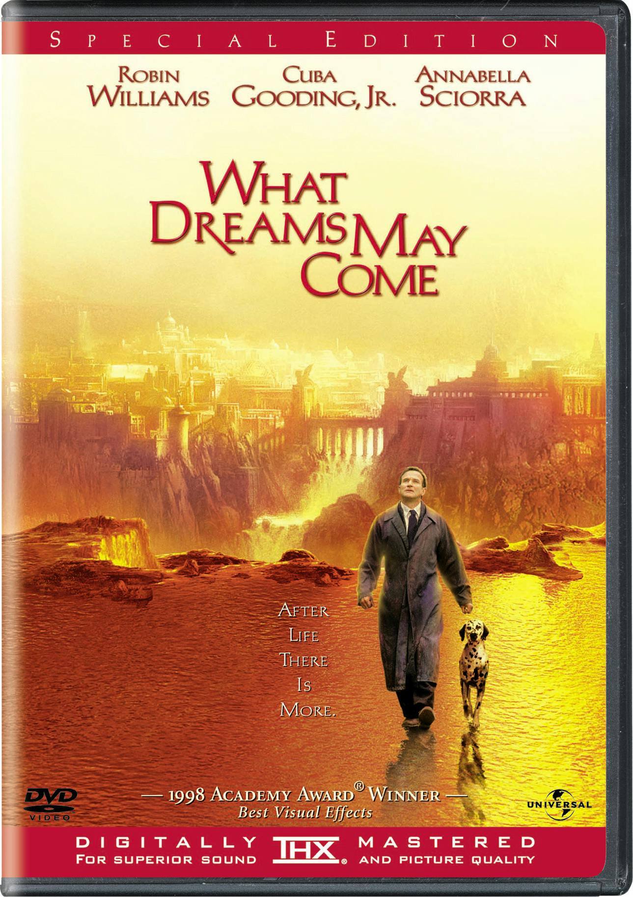 What Dreams May Come (Special Edition) [DVD]