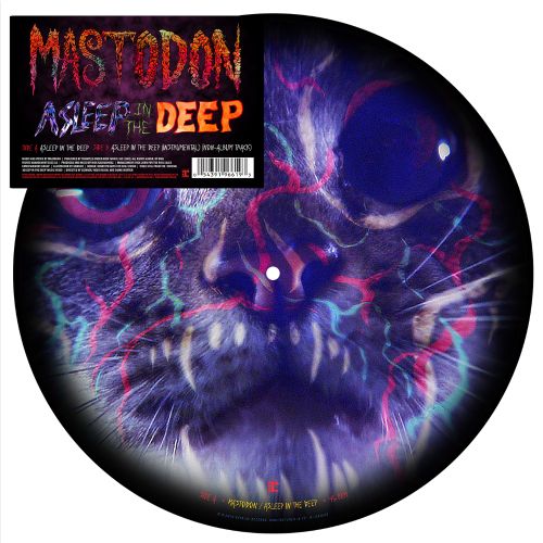 Asleep in the Deep [Picture Disc]