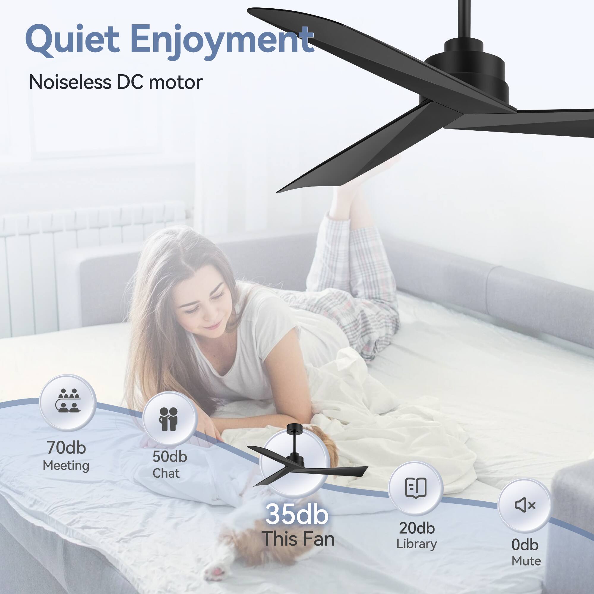 Quiet Enjoyment Noiseless DC motor

70db Meeting
50db Chat
35db This Fan
20db Library
0db Mute